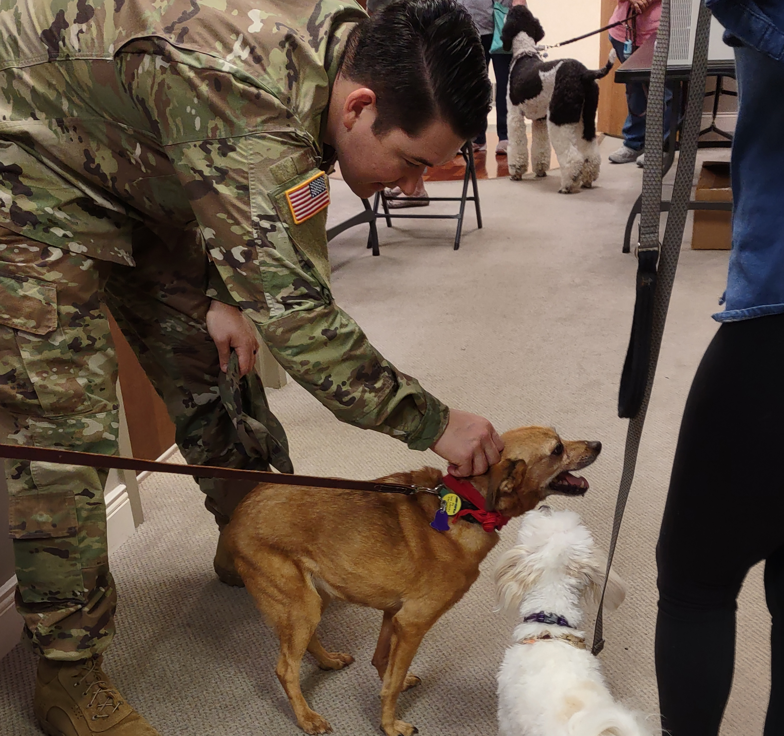 Catawba Valley Obedience Club, Hickory NC
